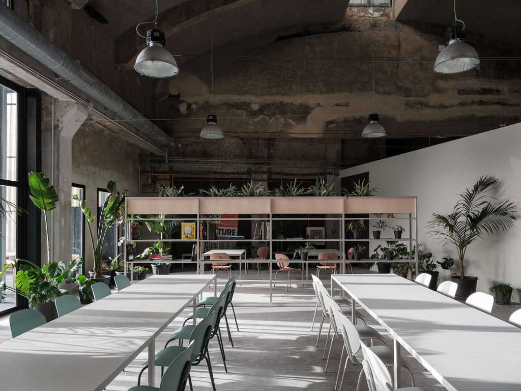Ondarreta Collection